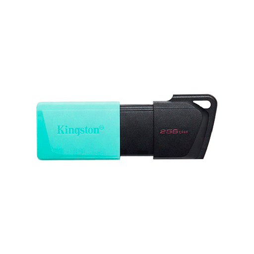 [FX91084] PEN KINGSTON 256GB DTXM/256GB USB-A DATATRAVELER EXODIA M 3.2